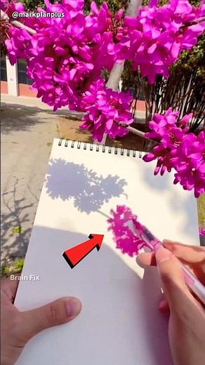The magical art of shadows! 🎨