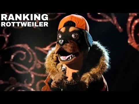 RANKING | Rottweiler Performances | The Masked Singer