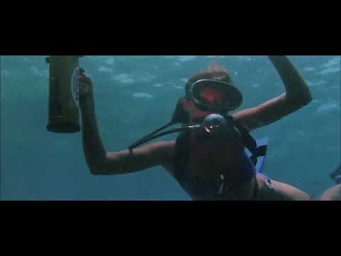 Hot Female Bikini Scuba Diver attack male Buddy. Lady Ice Movie 1973.