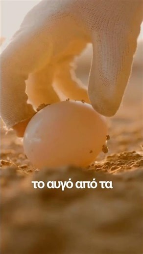 3 πράγματα που πρέπει να γνωρίζετε! -Απόλλωνας Καψάλης #shorts