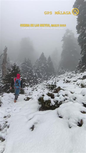 Explorando la Sierra de las Nieves y sus Nevadas