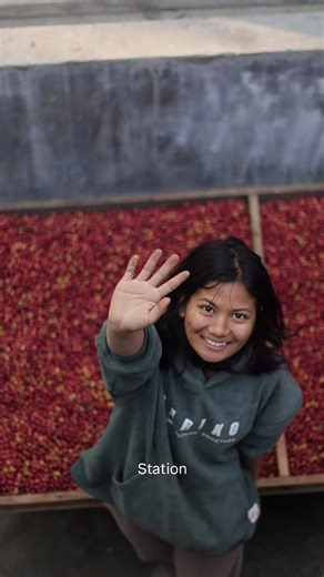 What began as a dream has grown into a purpose —We do not simply produce coffee. We represent our land, our farmers, our craft, and the quiet strength of a community that believes that something grown with integrity can travel across borders and still taste like home.