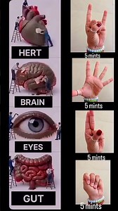 Just 5 Minutes! 🧘‍♀️ 4 Mudras for Better Wellness | Heart, Brain, Eyes & Gut