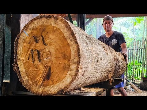 Popular for its beautiful grain🌲 splitting a beautiful teak tree at the sawmill