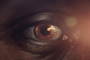 Human: Origins