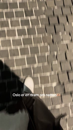 Exploring Nighttime Oslo's Enchanting Charm