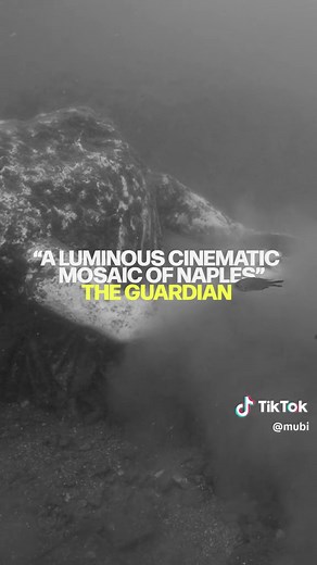 Exploring Life Under Vesuvius: Pompeii Documentary