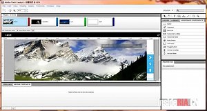 flash catalyst 与多媒体