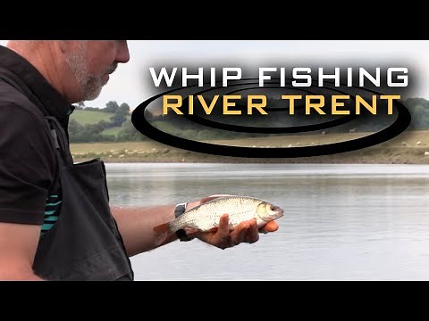 Whip Fishing the River Trent | Alan Scotthorne | Match Fishing