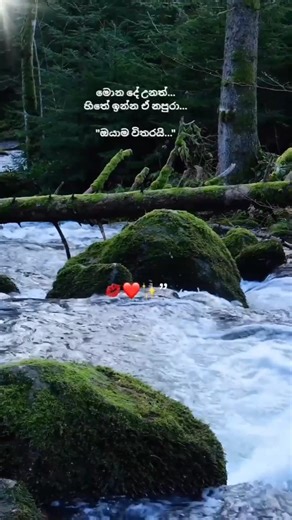 viral#ඔයාම විතරයි🫶😍#trendding#nisadas #love