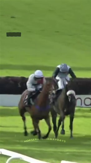 🚨Via The Racing Post 👇 Associate John Higgins and jockey Dylan Kitts b@nned for 12 and nine years as long-running Hillsin investigation is concluded. John Higgins and Dylan Kitts, who conspired to deliberately prevent Hillsin from winning in July 2023, have been banned from racing for 12 years and nine years respectively. Trainer Chris Honour, who was judged not to be part of the conspiracy but was found to have misled stewards after the conditional jockeys’ handicap hurdle at Worcester, has b