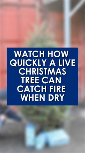 Watch in real-time how quickly a tree can go up in flames with Kaleb Buchanan of Bargersville Community Fire Department. Read more about Christmas tree, and general Christmas safety, here: https://dailyjournal.net/2025/12/22/keeping-you-safe-bargersville-fire-warns-of-live-christmas-tree-fires-offers-safety-tips/ Videography, editing and producing by news editor Noah Crenshaw. | Daily Journal
