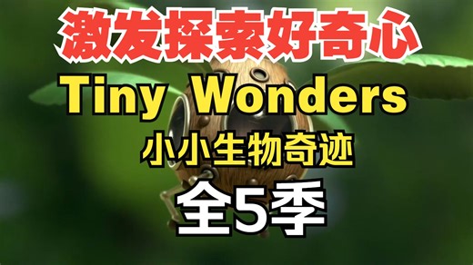 全5季中英翻译版【激发探索好奇心】英语启蒙自然科普动画 Tiny Wonders 小小生物奇迹 科普认知的同时学英语