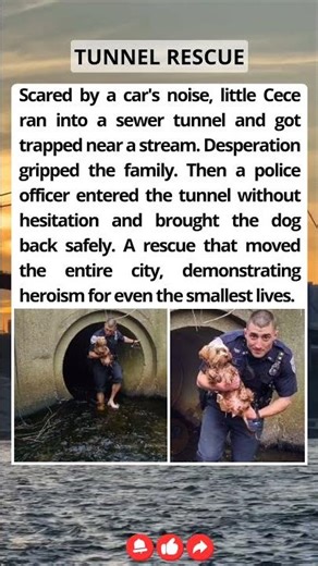 She Ran Into A Sewer Tunnel. An Officer Followed Without Hesitation.