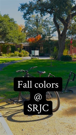 97 reactions · 3 comments | SRJC is glowing with fall colors, inviting us to pause and appreciate the season. | Santa Rosa Junior College | Facebook