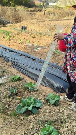 The wisdom of farmers, self-made fertilizing tools