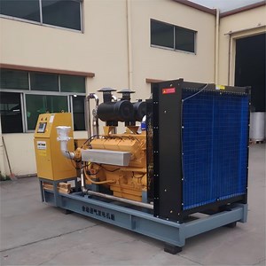 [Hot Item] 240kw/300kVA Biogas/Natural Gas/LPG/CNG/Methane Gas Engine Generator