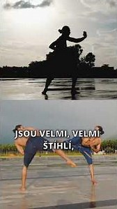 Cvičení pro vybudování síly a svalů bez posilovny