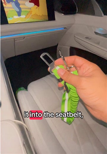 Dog Car Safety: Protect Your Pup with Seatbelts
