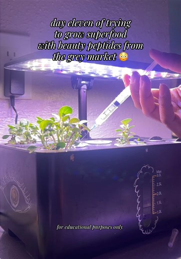 feeding every ten days so follow Me now and come back January 22, 2026 for the next research update on glutathione and NAD #biohacking #blackwomenoftiktok #glp1community #womeninstem #urbanfarmer