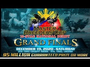 Master Breeders Cup Finalist
