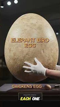 The 1,500lb Bird You Didn't Know Existed