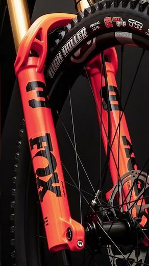 Fanatik Custom Bike: Forbidden Dreadnought E