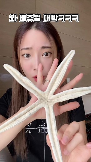 식용 불가사리 먹방?!ㅋㅋㅋㅋ⭐️ 대박.. 이런 비주얼과 맛은 또 처음이네😱 #불가사리 #불가사리먹방 #베트남 #vietnam #vietnamesefood #foodreview #신기한음식 #배네타 #틱톡푸드