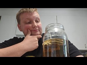 Chugging 1/2 Gallon of Chamomile Tea