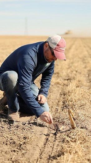 #Plant24 going strong in Nebraska! Maximize your yields with the our different approach to planting. Experience agronomic leadership and support from your local AgVenture seed company. #Corn #ProduceMoreBushels #MaximumProfitSystem #Nebraska #Nebraskafarming #farming #fields #planting #nebraskaag #neag #cornseed #agriculture #ag #new #newpost #uniquefarming | AgVenture, Inc.
