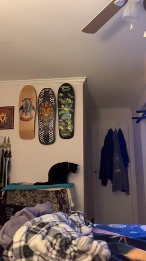 Stephanie Watson (@stephaniewatson907)’s videos with Monkeys Spinning Monkeys - Kevin MacLeod & Kevin The Monkey