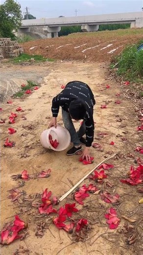 Discover Rural Charm: My Life as a Rural Guardian