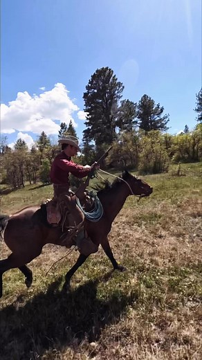805K views · 26K reactions | Part 2 running reload! 1887 12ga #western #west #colorado #winter #snow #westerncolorado #cow #horse #horses #colts #filly #roan #riding #cowpuncher #tophand #fishing #fyp #rockymountain #viral | Tucker Daubs | Facebook