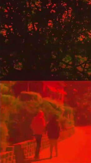 DJI MIni SE and Go Pro Splitscreen