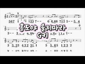 홍도야울지마라 김영춘 G키 하모니카 악보 영상