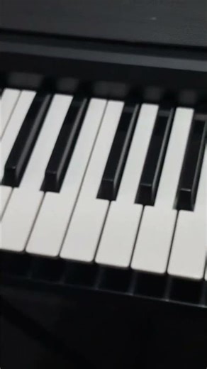 Teclado Arranjador Korg ek50 Demo Disco