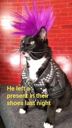 23K views · 659 reactions | It's called a suprise | Cat Cosplay | Facebook