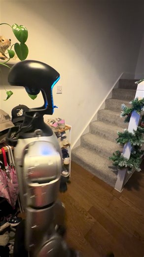 What to Do If a Robot Chases You