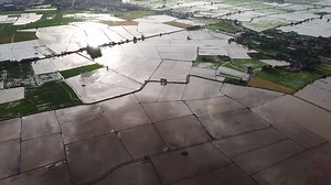 Aerial reflection on water at paddy field.