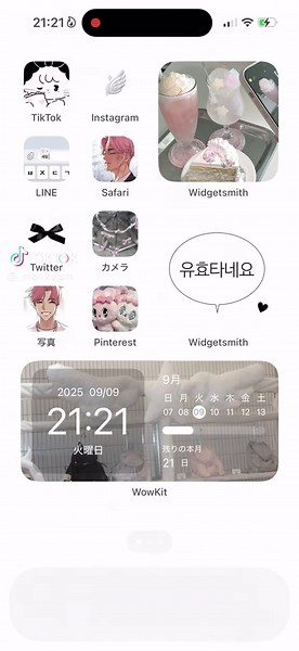 可愛さと利便性を兼ね備えたホーム画面