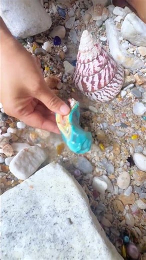 Sea Agate and Sea Crystal: Finding Hidden Treasures on the Shore and rare pearl