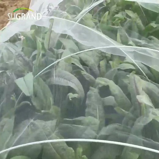 Looking for a Supplier of Insect Netting?#insects #orchard #manufacturing