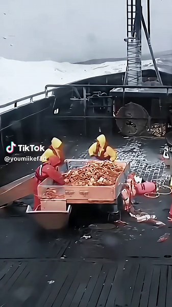 Exploring the Deep Sea: Journey into the Unknown