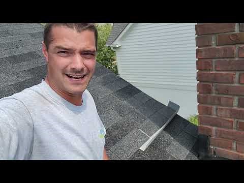 Roof rainwater diverter and chimney flashing