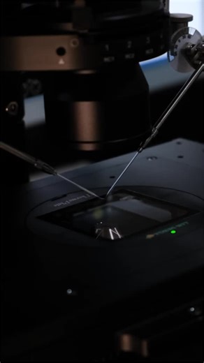 Breeding season is only a few weeks away! Let GeneTech help you achieve your breeding goals with our industry-leading services: 🧬 𝙊𝙤𝙘𝙮𝙩𝙚 𝘼𝙨𝙥𝙞𝙧𝙖𝙩𝙞𝙤𝙣𝙨 🧬 𝙄𝘾𝙎𝙄 🧬 𝙀𝙢𝙗𝙧𝙮𝙤 𝘽𝙞𝙤𝙥𝙨𝙞𝙚𝙨 🧬 𝙀𝙢𝙗𝙧𝙮𝙤 𝘾𝙧𝙮𝙤𝙥𝙧𝙚𝙨𝙚𝙧𝙫𝙖𝙩𝙞𝙤𝙣 🧬 𝙎𝙚𝙢𝙚𝙣 𝘼𝙣𝙖𝙡𝙮𝙨𝙞𝙨 & 𝙁𝙧𝙚𝙚𝙯𝙞𝙣𝙜 🧬 𝙐𝙎𝘿𝘼 𝘾𝙚𝙧𝙩𝙞𝙛𝙞𝙚𝙙 𝙀𝙢𝙗𝙧𝙮𝙤 & 𝙎𝙚𝙢𝙚𝙣 𝙀𝙭𝙥𝙤𝙧𝙩 🧬 𝙎𝙚𝙭𝙚𝙙 𝙎𝙚𝙢𝙚𝙣 𝙎𝙚𝙧𝙫𝙞𝙘𝙚𝙨 Ready to get started? Contact us today or visit www.genetechvet.com for more 