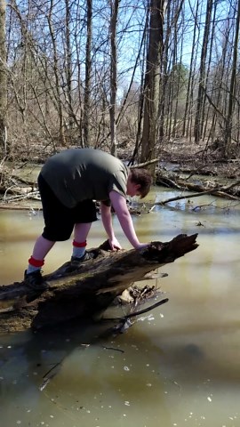 Guy Falls Into Creek From Tree Trunk