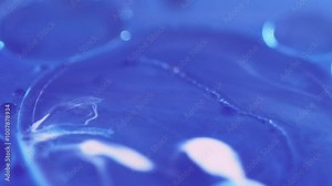 Serum blob. Fizzy liquid. Blur blue purple color transparent round oil bubbles floating mist texture paint water flow abstract art background.