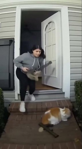 Explosive Cat… with Zero Damage 💥😹