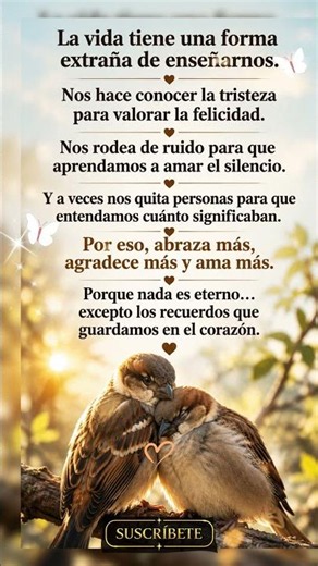 Nada es eterno, excepto los recuerdos que guardamos en el corazón ❤️ #reflexion #reflexionesdevida