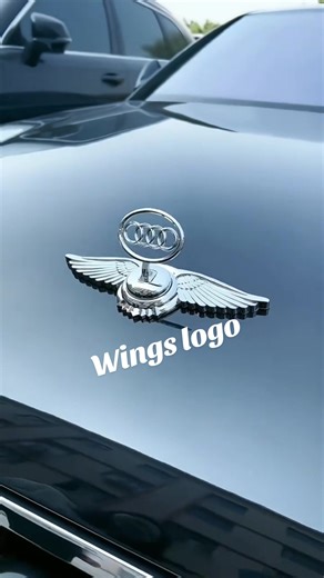 Exploring the Wings Car Hood Logo and Its Significance